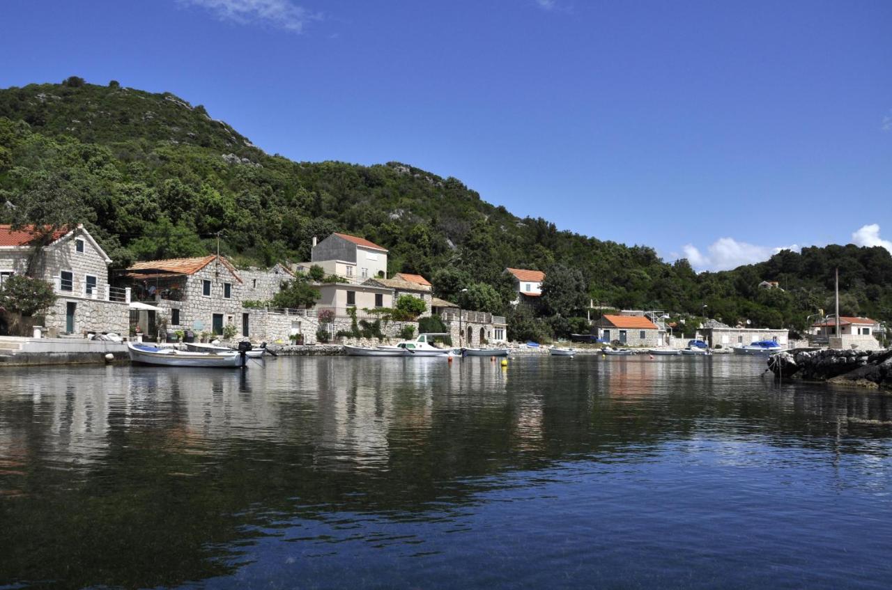 Apartment Danijela Okuklje Εξωτερικό φωτογραφία
